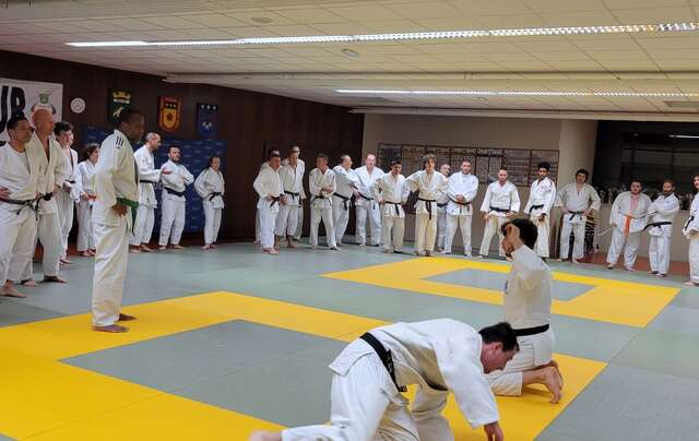 Entraînement départemental de judo